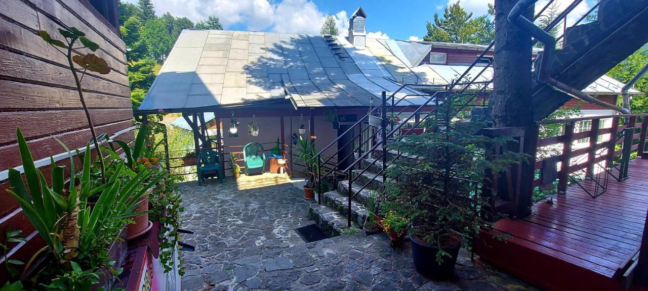 Casa Cristina_ Cabana Buşteni Exterior foto